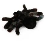 Rappa Plush World Λούτρινη Αράχνη 20 εκ. Eco-Friendly (262621)