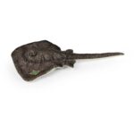 Rappa Λούτρινο Σαλάχι 50 εκ. Eco-Friendly (250659)