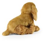 Rappa Λούτρινος Σκύλος Cocker Spaniel 23 εκ. Eco-Friendly (260344)