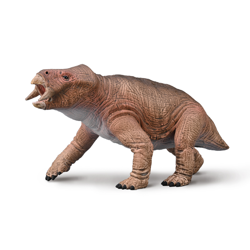 1:20 Πλακερίας