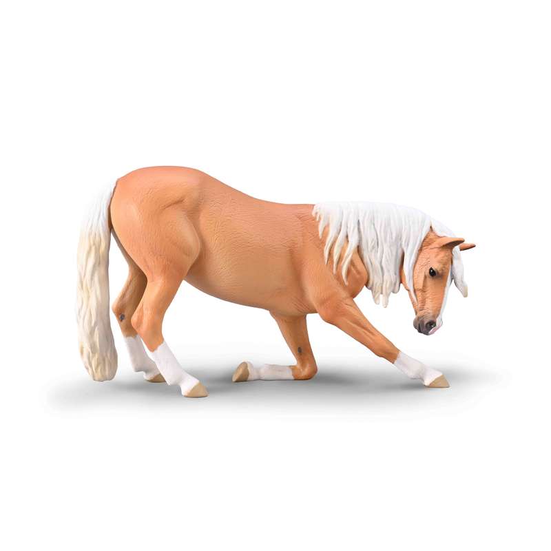 Λουσιτάνο Φοράδα Καστανόξανθη - Σε Στάση Υπόκλισης