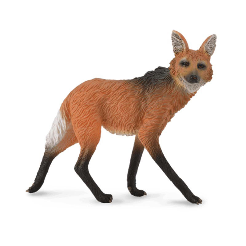 Χαιτοφόρος Λύκος