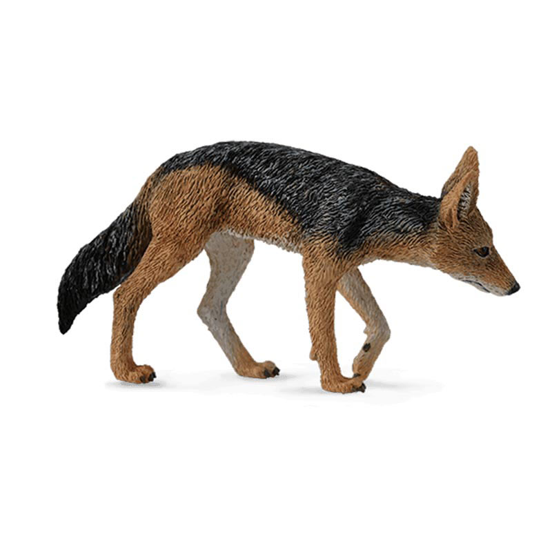 Τσακάλι με μαύρη ράχη