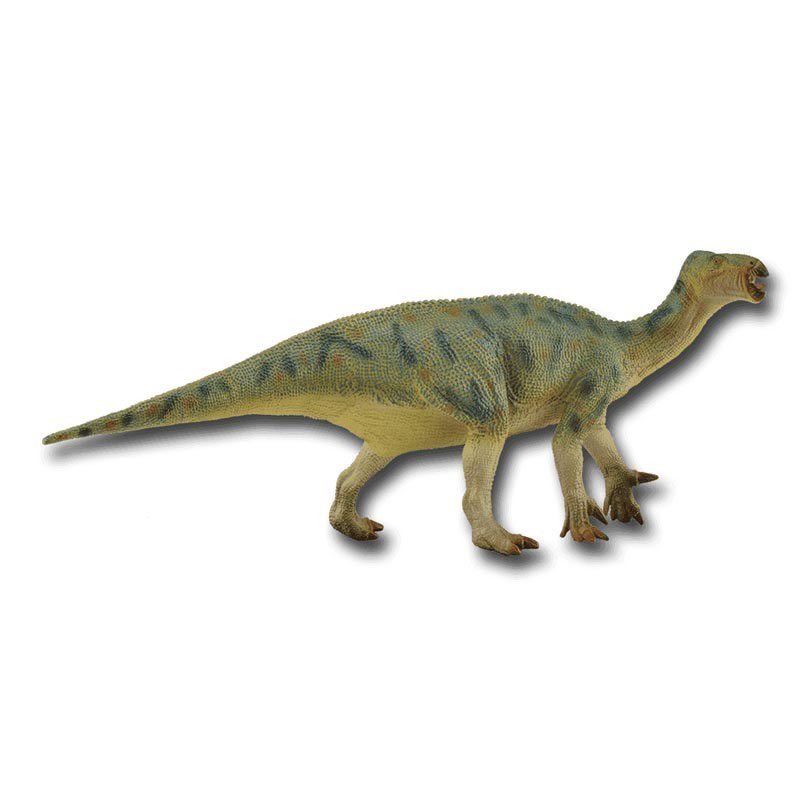 1:40 Ιγκουανόδοντας (84043)