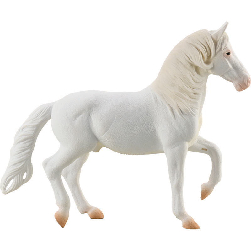 Καμαρίγιο Λευκός Επιβήτορας