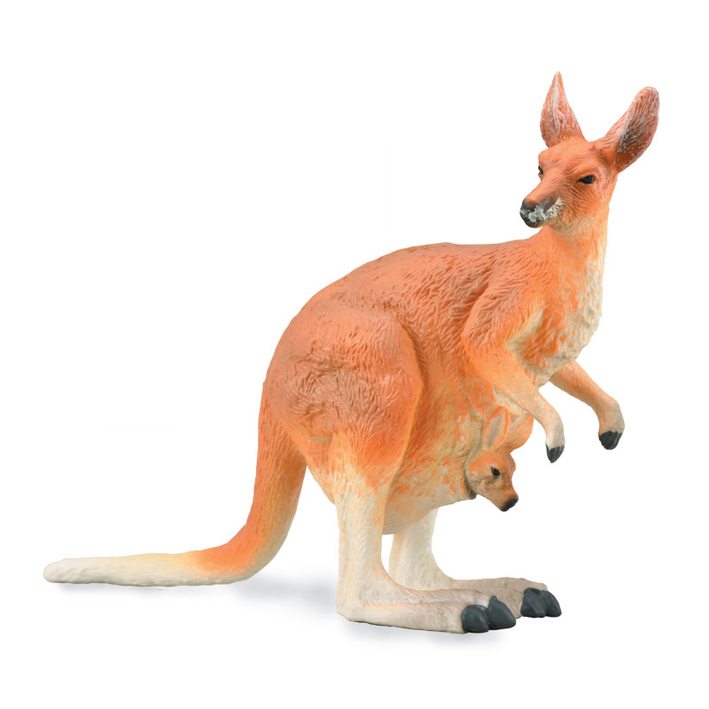 Κόκκινο Καγκουρό - Θηλυκό Με Μωρό