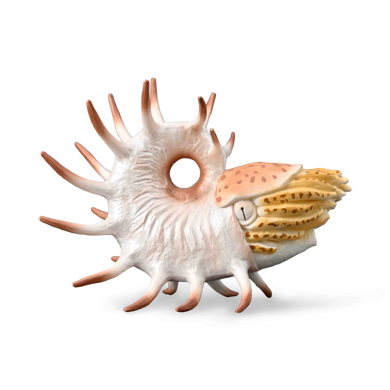 Κουπερόκερας