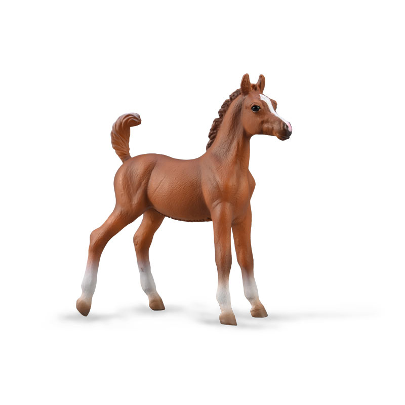 Αραβικό Πουλάρι Καστανοκόκκινο