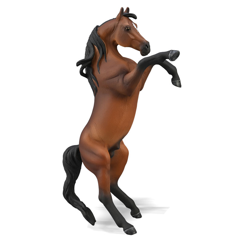 Αραβικός Επιβήτορας Καφέ - Σούζα