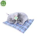 Rappa Λούτρινος Σκύλος Μπουλντογκ 23 εκ. Με Κουβερτούλα Eco-Friendly (195073)