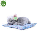 Rappa Λούτρινος Σκύλος Μπουλντογκ 23 εκ. Με Κουβερτούλα Eco-Friendly (195073)