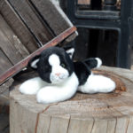 Rappa Λούτρινη Γάτα Ασπρό-Μαύρη Ξαπλωτή 16 εκ. Eco-Friendly (203402)