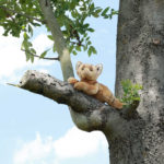 Rappa Λούτρινη Γάτα Καστανή Ξαπλωτή 30 εκ. Eco-Friendly (340289)