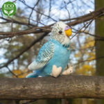 Rappa Λούτρινος Παπαγάλος Με Ηχο 11 εκ. Eco-Friendly 2 Σχέδια (710511)