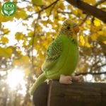Rappa Λούτρινος Παπαγάλος Με Ηχο 11 εκ. Eco-Friendly 2 Σχέδια (710511)
